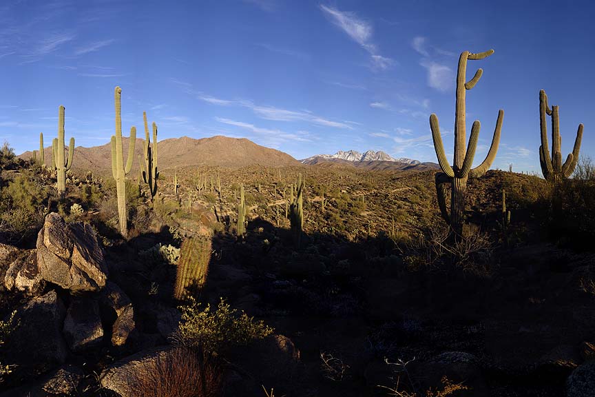 Snow on Four Peaks, Arizona, January 25, 2010